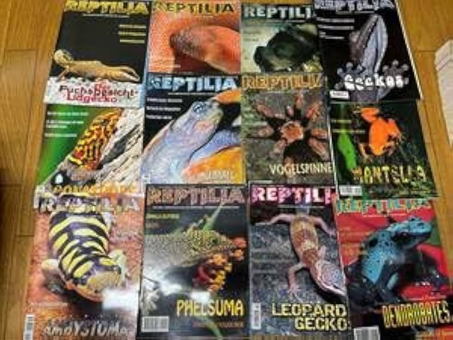 洋書　Reptiles & Amphibians 爬虫類、両生類 洋書Reptiles & Amphibians 爬虫類、両生類